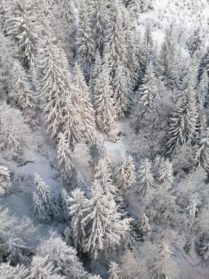 Montepart Zillertal Apartman Hainzenberg Kültér fotó